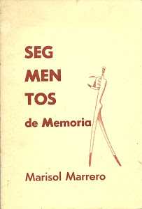 Segmentos de memoria